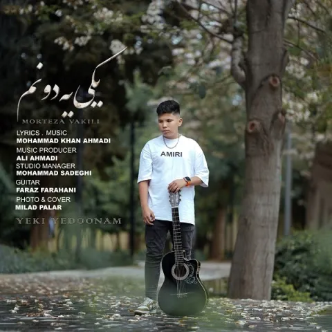 دانلود آهنگ قشنگی مثل عکس ماه روی آب